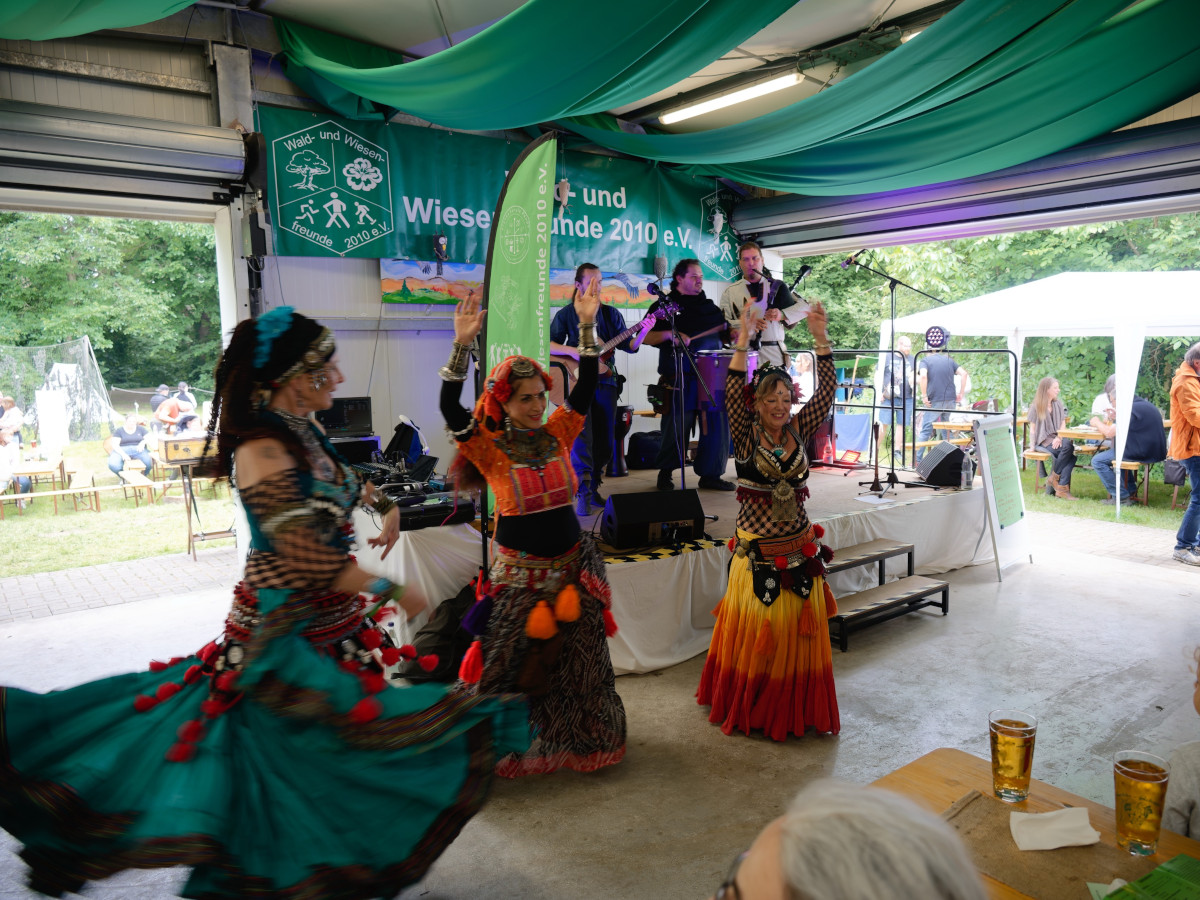 Mittelalter Bruchfest